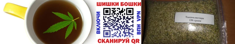 купить наркоту  Пудож  Canna-Cookies марихуана 