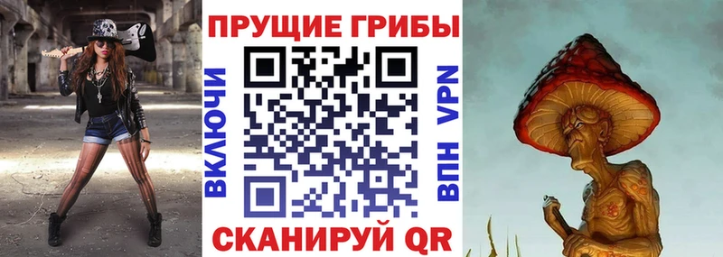 Галлюциногенные грибы Psilocybe  OMG tor  Пудож  где найти наркотики 