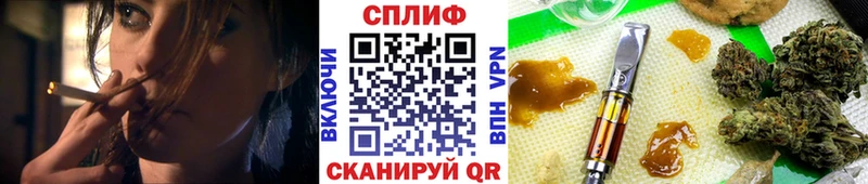 Шишки марихуана индика  Пудож 